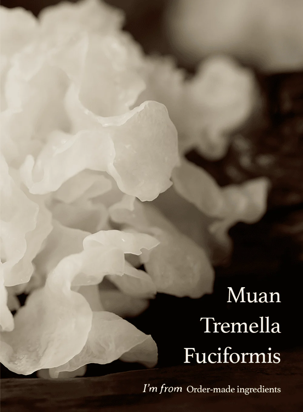 Mushroom Collagen Ampoule (30ml) - Image 3