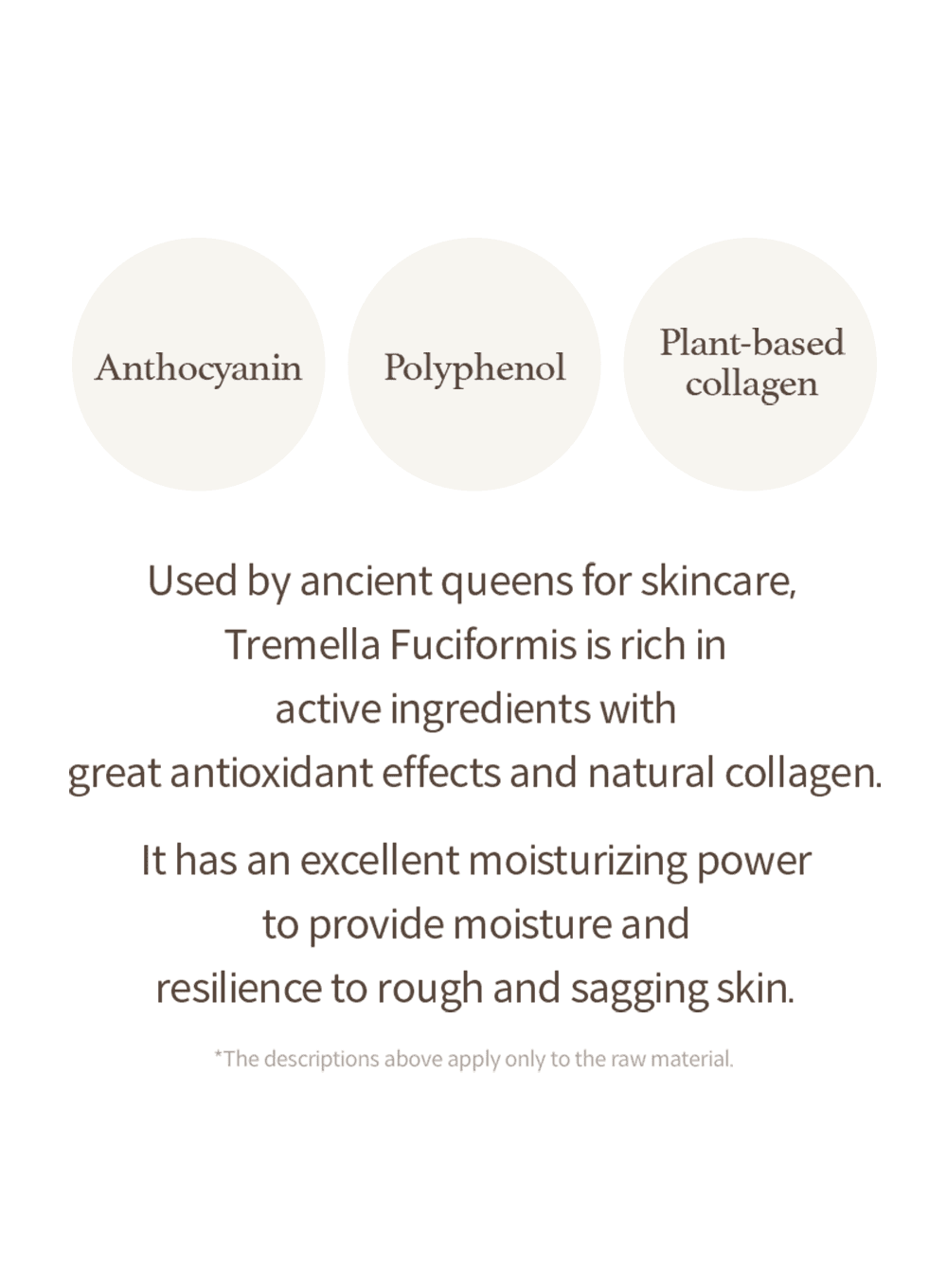 Mushroom Collagen Ampoule (30ml) - Image 4